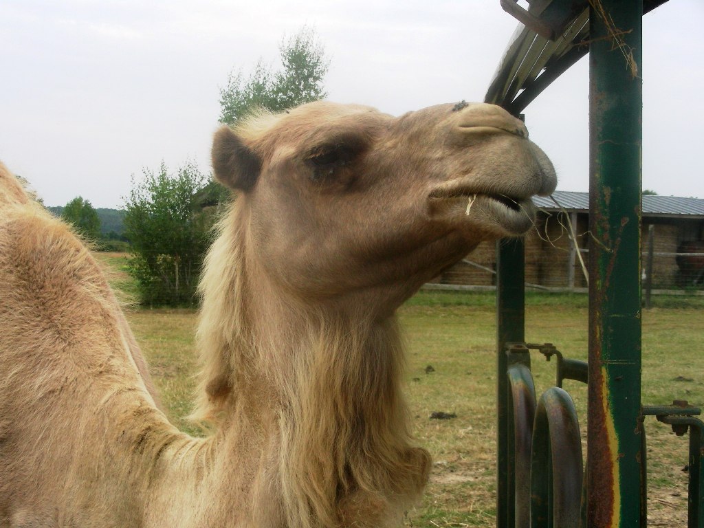 La Gacilly
